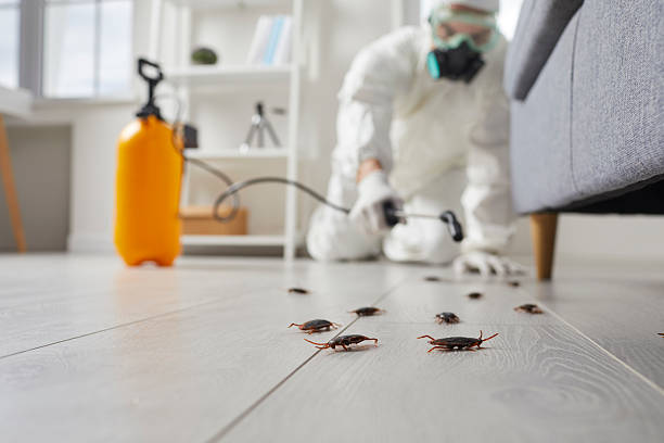 Commercial Kitchen Cockroach Control in Sharon Hill